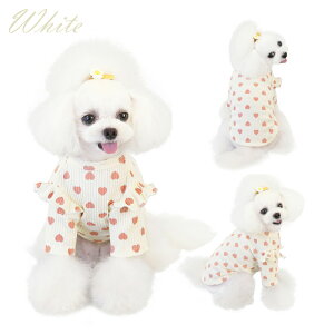   킢 ̎q ̕ t hbOEFA ȒP E ʂȂ ^ ` gCv[h ^   p m hbOEGA [EFA  n[g L