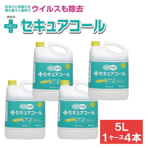 mX^[ ZLAtH[ 5L 4{ jC^J AR[   NoRostar HiY AJ Xܓ|p qǗ S Hiq ɂ₳ Xܐ| ECX΍ 