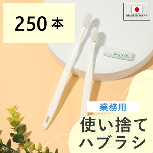 Ɩp uV ĝ ܂Ƃߔ RXp  I[ ze AjeB 28 4 PBT Zbg zCg s h{ ~  ʍw jp g؂ q Vv ~Xe