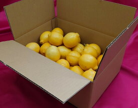 カリフォルニア産　レモン　約5kg入　40玉程度