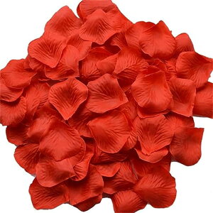 lC o Be  p[eB[p NX}X j a 2 EGfBO   v|[Y  [