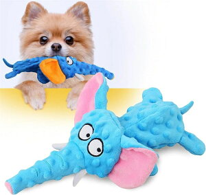 ^p ^ ^ ]E ɂ   v[g ʂ  XgX ̏oߋ VJVJ 