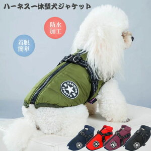 ybgpi o| U xXg AE^[ wJ ^ ^ ^ ybg h h  ~ N