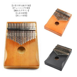 �M�t�g �v���[���g �����y�� �y�� �}�z�K�j�[ �A�t���J�y�� �`���[�j���O�� �|�[�^�u�� �t�B���K�[�s�A�m �s�A�m �q���p 17�� ��