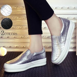 JWA ɂȂ ₷ tbg\[ [Jbg `FbN C ؂ tbgV[Y wlC  V[Y f