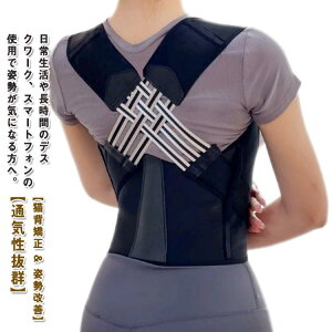 oXgAbv jp q  LwT|[^[ w؃T|[^[ pP  ڗȂ  傫TCY fB[X 