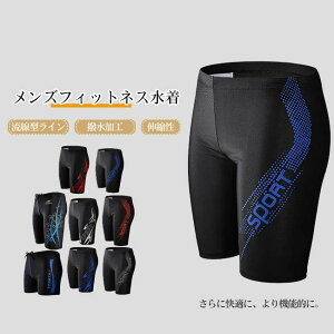 JoLx jp EGXg߉\ 傫TCY Lk H ^C z X|[c G XCEFA