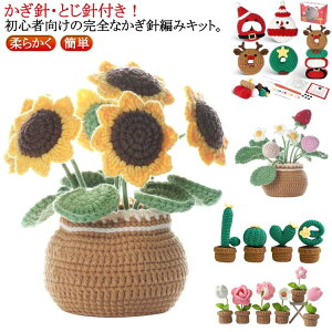 クリスマス ハロウィン 植物 植木鉢 編み物キット 編み物 ビデオ説明付き 説明書 大人向け 初心者向け フラワ