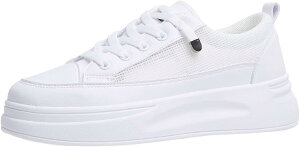  ₷ JWA [XAbvV[Y X|[c  Xj[J[ h ʊw ʋ fB[X EH[LOV