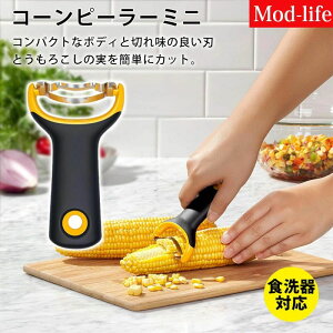 ~[ɌȂ  ȒPɃgERV l̍HwObv @\gERV?؉ʕ헱