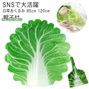 v[g Mtg \ 120x120cm 85x85cm V  oY LOBe tlf 鋃΍ VObY 