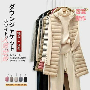 zCg_bN_E }b`O₷ ۉ ʋ Ȃ t[ht H~ O _ExXg fB[X R[g