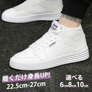 8 q[ y 6 C\[ ~ jp gAbv V[Y _ 10 r fB[X ʋC Y ɂ V[Nb