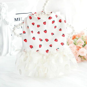 킢 ^ ^ Č `[ {[XJ[g  hX vZX L  t