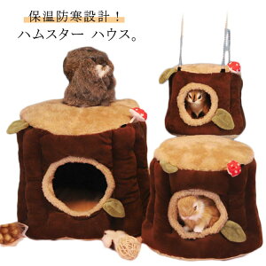 Mtg v[g g ~p ΍  h xbh  nlY~ nX^[  _炩 z 􂦂 h[