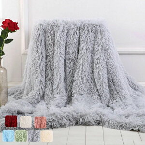 lGp CeA ӂӂ [΍ \ Q wiѕz \t@Jo[ ё̒}bg }CNt@Co[ xbhX