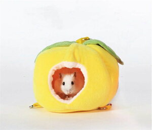 􂢉\ Q p ~t tH~p ΍ ۉ h g xe Vя nEX ӂӃxbh ӂӂ Q