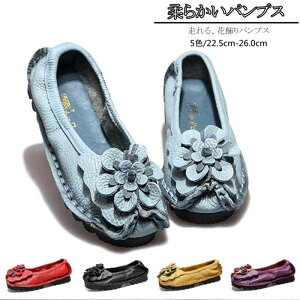 5F tH  _炩 vC RtH[gV[YU[V[Y V[Y C ؂ fB[X ؂񂱌C ԏt