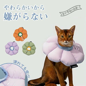 pi ޖh~ r߂Ȃ p㒅/EFA Lp p p̏ی  p pi ܂_炩f y ȒP