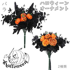  nEBfR[Vpԃu[P ỏԑ JGf̗t ڂ nEBu[P v[g   