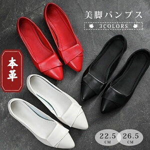 ItBX TCY 傫TCY _炩 ₷ tH[} p[eB[ 񎟉  N[g |CebhgD