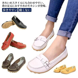 n  t  JWA ɂȂ ₷ hCrOV[Y Xb| { fB[X tbgV[Y pv