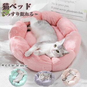 lG  p Lp Q ybgpi ~΍ ۉh p Ԍ^ ی^ Lp _炩 ӂӂ 􂦂 ~ g