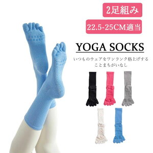 ɂ ݃J[ 킢 _X seBX Obv\bNX K EFA g[jO  K\bNX KE