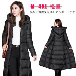   ~  g  H~ ʊw ʋ oCN y  ؍ h  ̌^Jo[ O