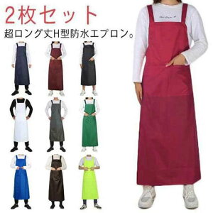 JtFGv N O H K fB[X jp jp HiH j 傫߃TCY [NGv K[f