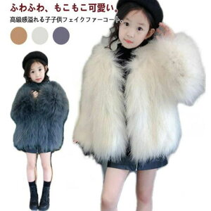 AE^ h ̎q   tFCNt@[ ؍ y t@[WPbg t@[R[g g q LbY WPbg