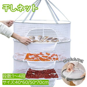 ő hCt[c hClbg ؂  ݂艺 hCoXPbg ؊ h h tbNt 