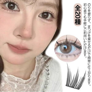  CN i`CN EȒP i`܂ S20 p ܂   ̂t܂ ̂sv 