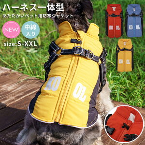 o R[g AE^[ ̎q j̎q  H~ ~ ~p ~ H H ^ ^ ybgp WPbg XXLTCY XL