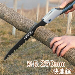 Lv  |p ؍Hp ~߃Obv }؂苘  ܂肽 ̂ Lv̂ dh d