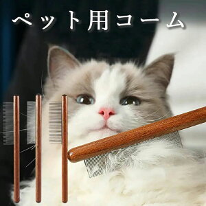 aR[ ю L Lp ؐR[ XeXR[ ȒP ɕSȂ ђZьp