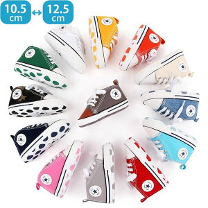 Rbg  y ʋC CR 1 12cm 11cm 10cm oYj   􂦂 H  t xr[C ₷ _炩 q