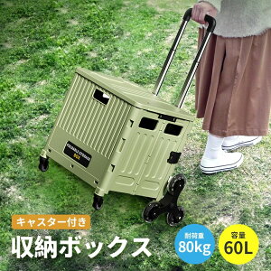 A  L[ LX^[t 8 60L J[g Rei L[J[g ӂ ܂ݎJ[ ܂肽 VbsOJ[g