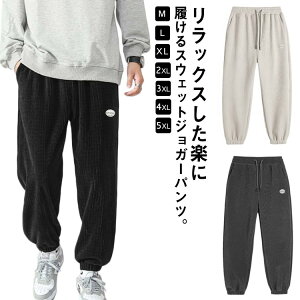  W[Wpc TGpc JWA {AȂ N ۉ  XEFbgpc Y WK[pc