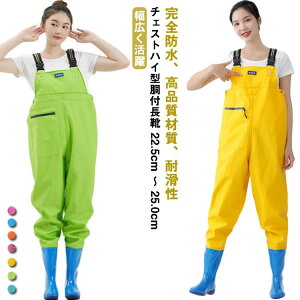  NX  Y cA C k 25.0cm ` 22.5cm tC tFg\[ |Pbg h X[c ނ EF[_[