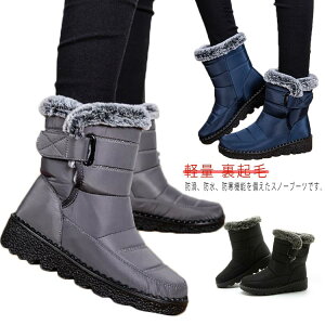  {A N ΍ [gu[c ~ Ȃ h Xm[V[Y ~ u[c y fB[X Xm[u[c 