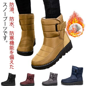 {A [gu[c ₷ Xm[V[Y ~ N  ۉ h Xm[u[c fB[X Xm[u[c