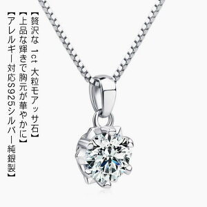 WG AM[Ή ꗱ ގ 1Jbg AbTiCg ЂƗ lbNX ATiCg _Ch fB[X