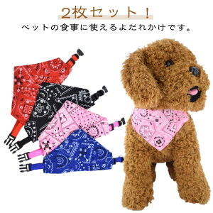 ybgX o_i  悾ꂩ  ^ X^C ^ hbOEFA 킢 Gv 2Zbg X^C ^