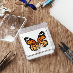 wvWFNg̒\ȕW{Zbgp ^ W{ ̍̎ W{c[ Zbg W{̍ 