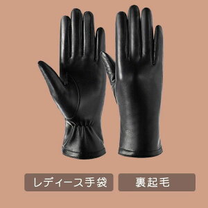 Mtg NX}X jO X}zΉ  O[uނ oCN ^b`plΉ h oR/ʋ/ʊw TCNO