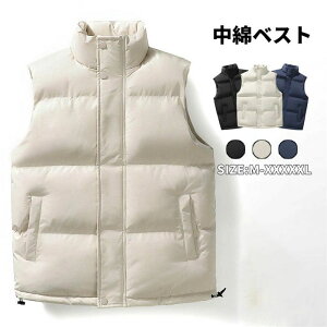 VV ~ lC AE^[  oR  hh y Ci[ H~ StEFA `bL  傫TCY 