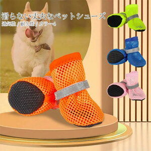 �ی� �����h�~ ����h�~ �h�b�O�V���[�Y ���p ���� ���^�� ���^�� ��^�� ���ׂ�~�� �₯�� �A�X�t�@���g �� �t �ʋC ���b�V��