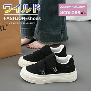 t@[XgR^Ng y  U L4e white 傫 H  s gbLOV[Y ₷  lC