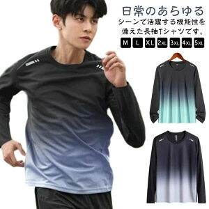 X|[c Lv ނ oCN 傫TCY 싅 StEFA g[jOEFA   ێ z Lk ƕ A